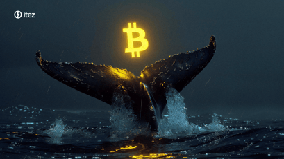 Navigating the deep waters: the impact of crypto whales on the market