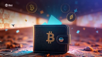 Top 5 cryptocurrency wallets for 2024: let’s find the best one